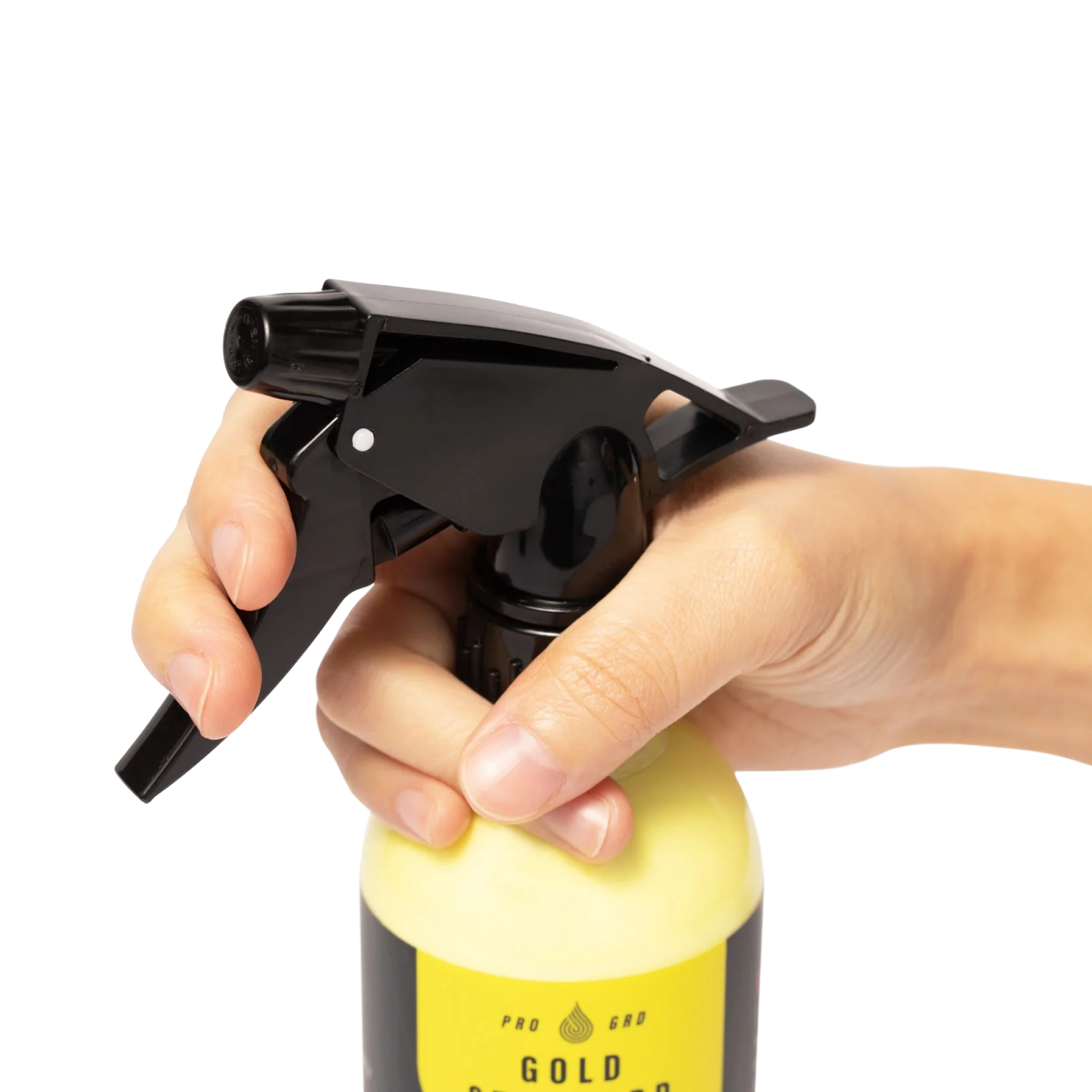 DIY Detail Gold Standard Polish