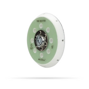 Maxshine Dual Action Polisher Backing Plate
