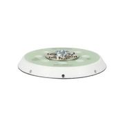 Maxshine Dual Action Polisher Backing Plate