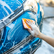 The Rag Company Bug Scrubber